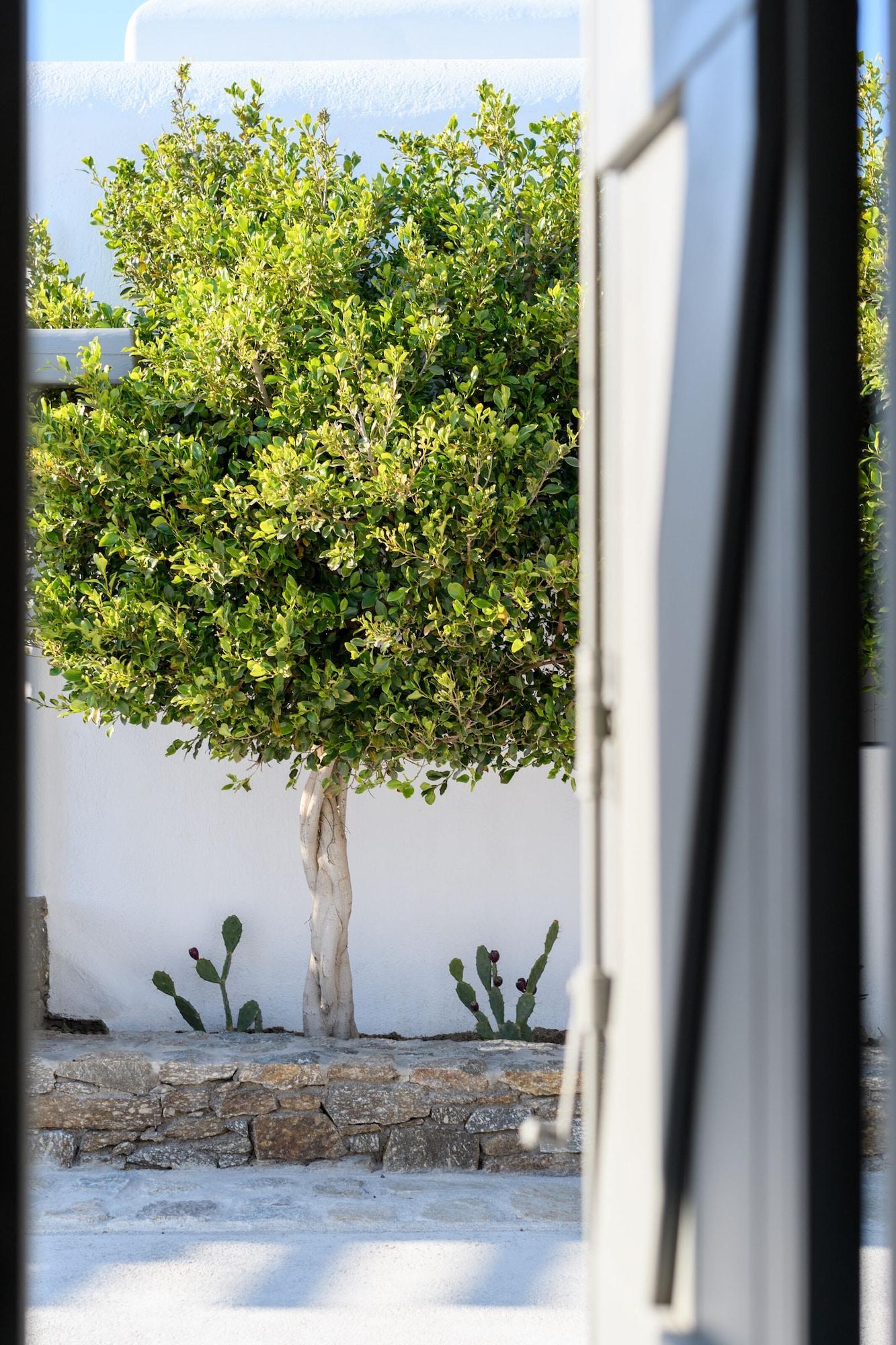 Stagones Luxury Villas Ambelas Exterior photo